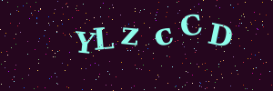 Validation image
