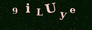 Validation image