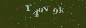 Validation image