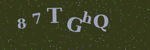 Validation image