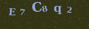 Validation image