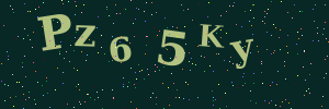Validation image