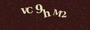 Validation image