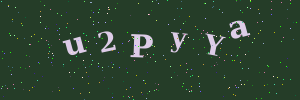Validation image