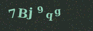 Validation image