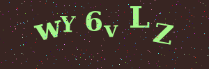 Validation image