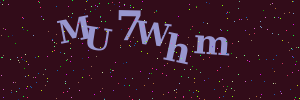 Validation image