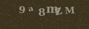 Validation image