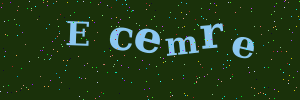 Validation image