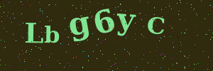 Validation image