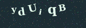 Validation image