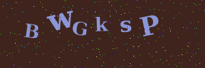 Validation image