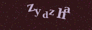 Validation image