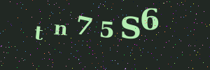 Validation image
