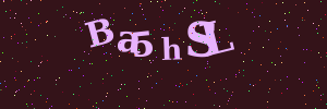 Validation image