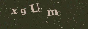 Validation image