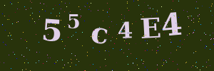 Validation image
