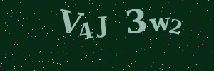 Validation image