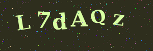 Validation image