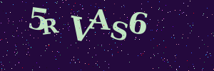 Validation image