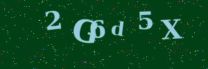 Validation image