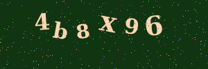Validation image