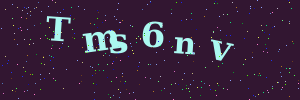 Validation image