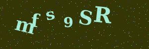 Validation image