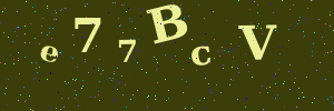 Validation image