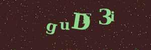 Validation image