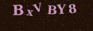 Validation image