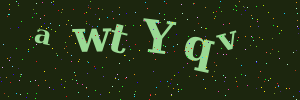 Validation image