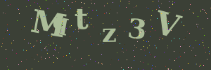 Validation image