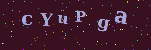 Validation image