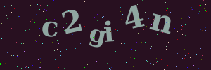 Validation image