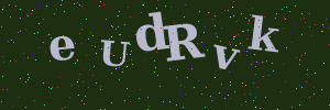 Validation image