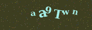 Validation image