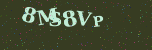 Validation image