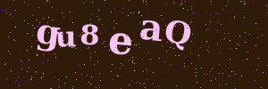 Validation image