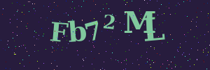 Validation image