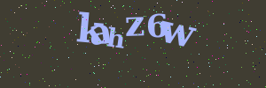 Validation image