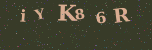 Validation image