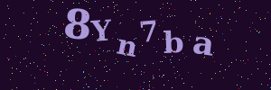 Validation image