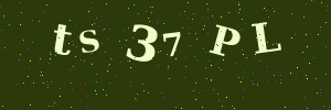 Validation image