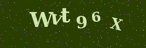 Validation image