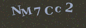 Validation image
