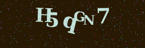 Validation image