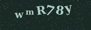Validation image