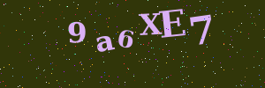 Validation image