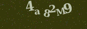 Validation image